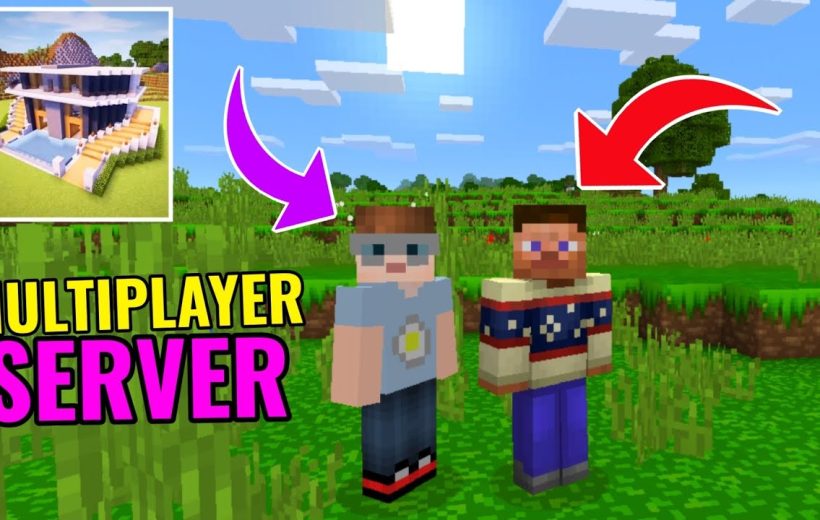Two Minecraft player characters standing in a grassy plains biome with arrows and text