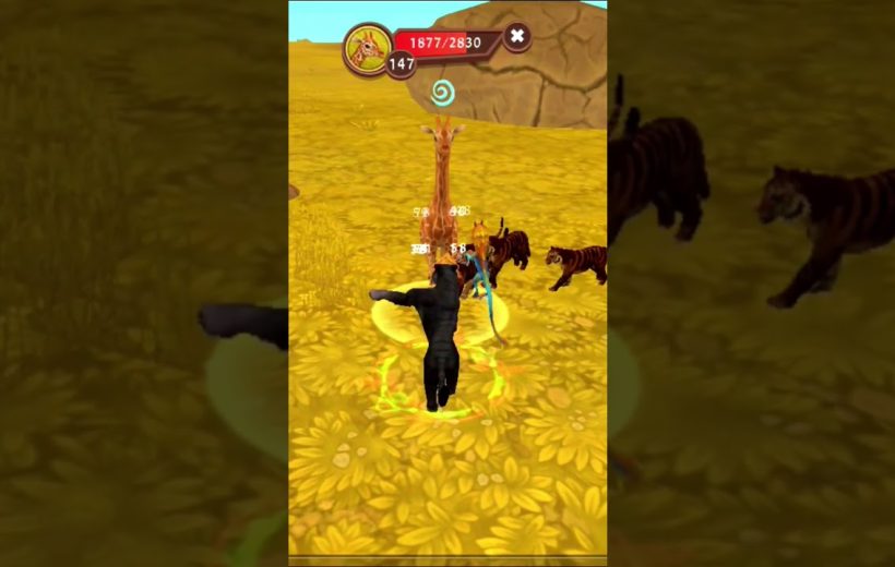 Player-controlled black panther attacking a giraffe while tigers circle in golden grasslands