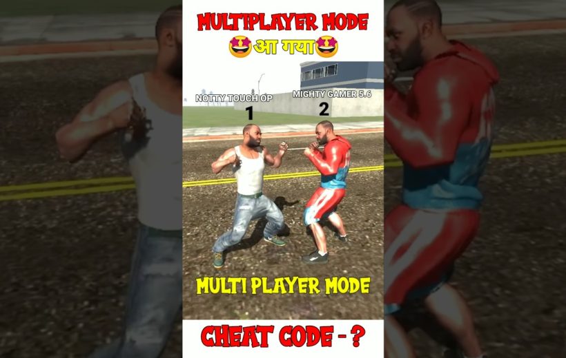 Two game characters facing off in a multiplayer street fighting scene with labels.