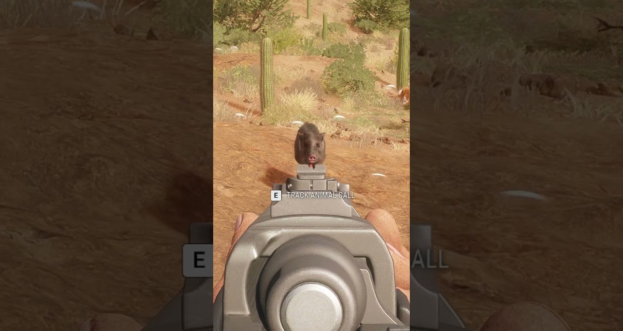 First-person view aiming a rifle at a small boar in a desert landscape
