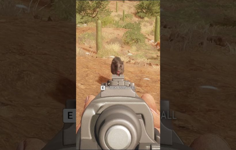 First-person view aiming a rifle at a small boar in a desert landscape