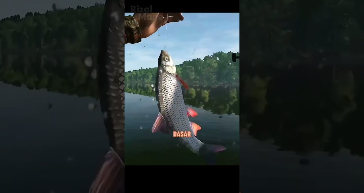Angler holding a freshly caught silver fish above a calm forest lake surface