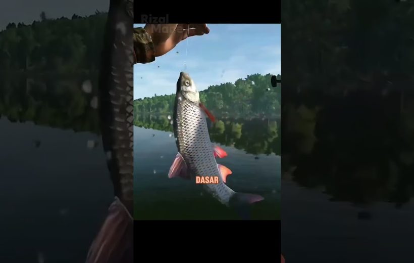 Angler holding a freshly caught silver fish above a calm forest lake surface