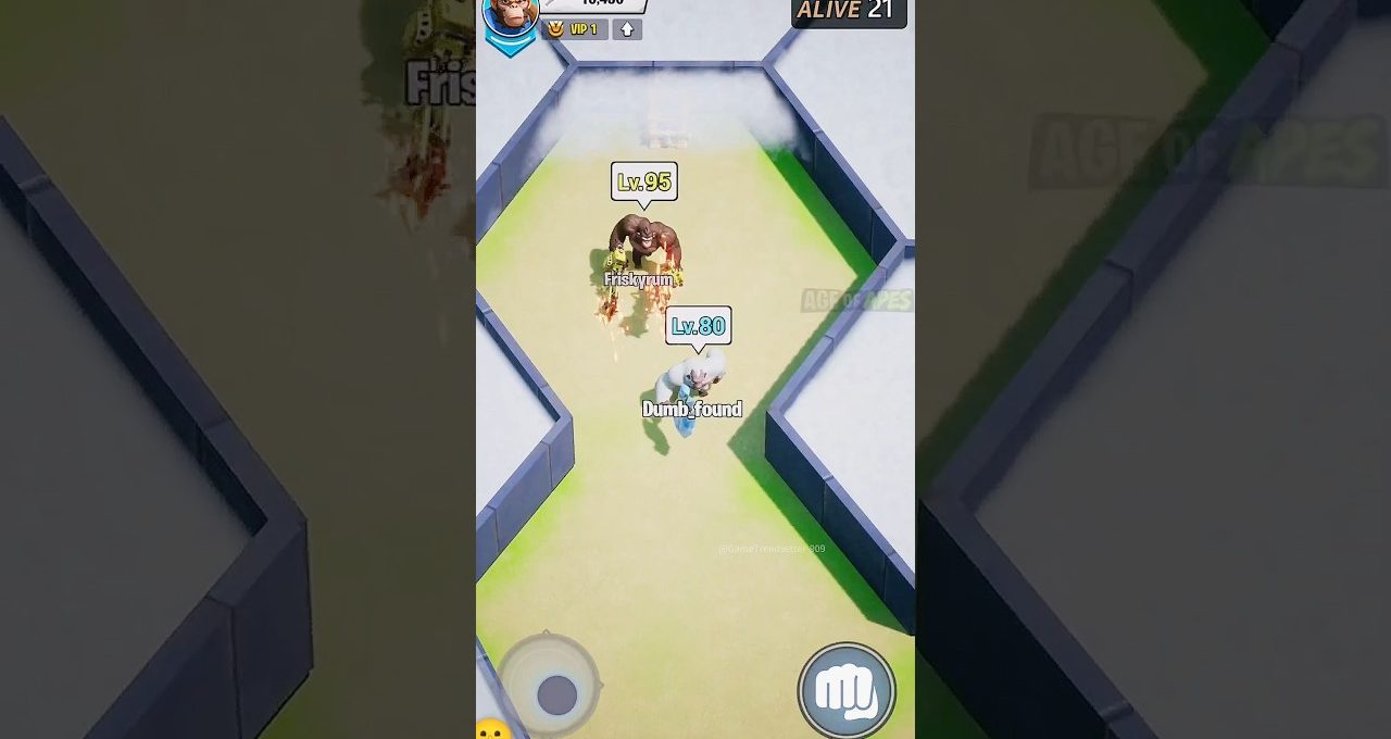 Two game characters labeled Lv.95 and Lv.80 fighting in a narrow arena hallway