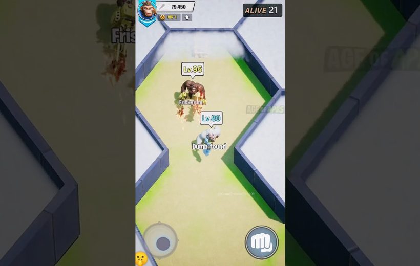 Two game characters labeled Lv.95 and Lv.80 fighting in a narrow arena hallway
