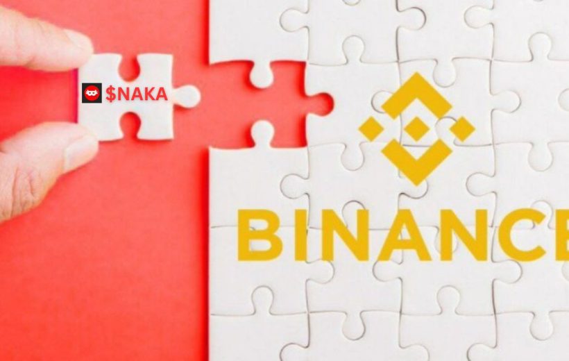Hand inserting puzzle piece labeled $NAKA into a white puzzle showing Binance logo