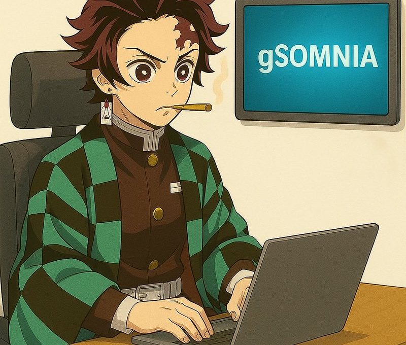 young man in green checkered haori intently typing on laptop with "gSOMNIA" screen behind