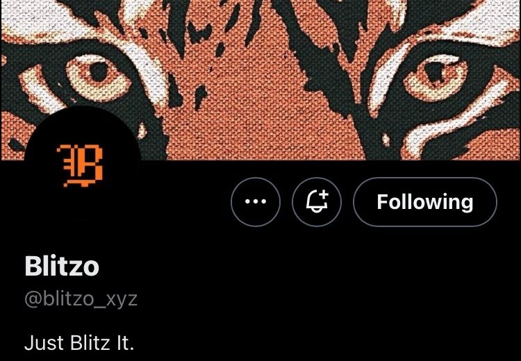 Twitter profile showing username Blitzo, tiger banner art, orange pixel logo, New York location