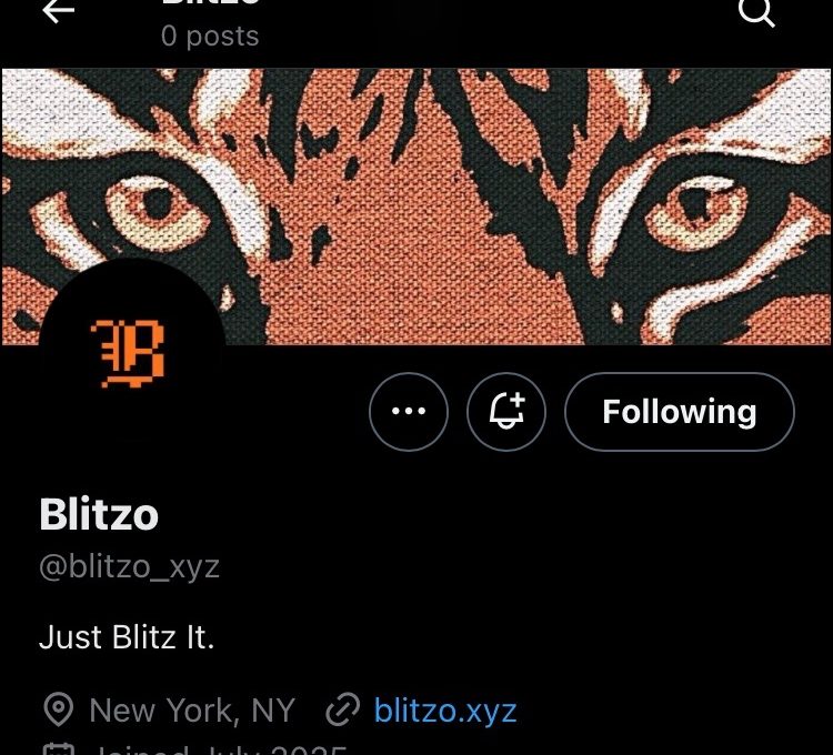 Twitter profile showing username Blitzo, tiger banner art, orange pixel logo, New York location