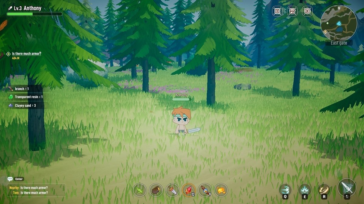 Cartoon player character named Anthony holding a sword standing in a pine forest clearing