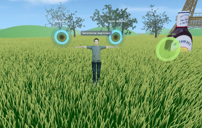 Avatar labeled "metaverse-explorer" standing in tall grass with glowing portal rings nearby