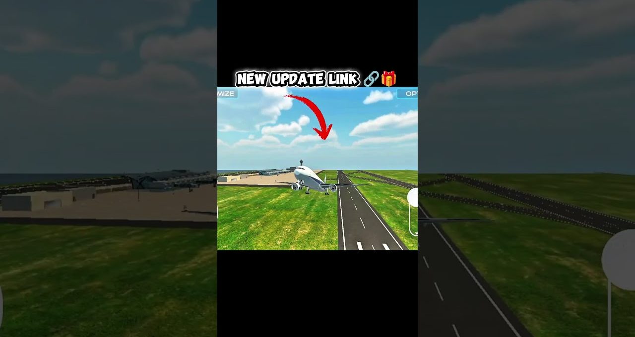 Airliner landing toward runway at a small airport with green grass and blue sky