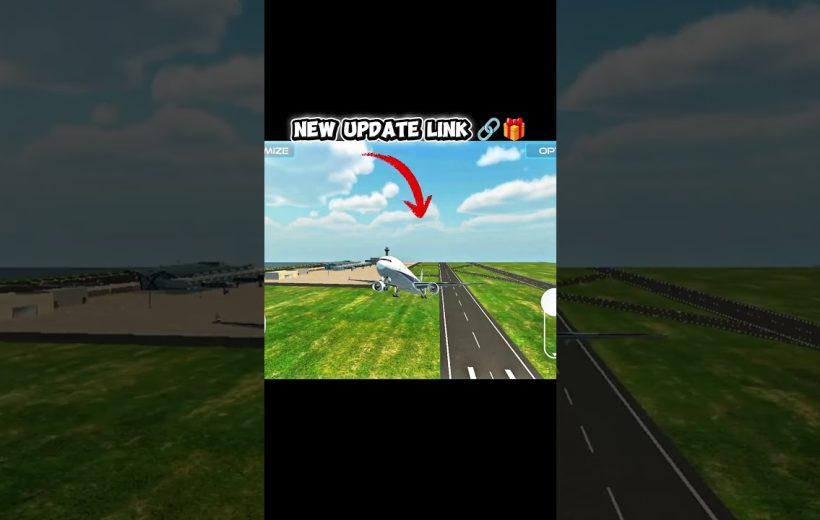 Airliner landing toward runway at a small airport with green grass and blue sky