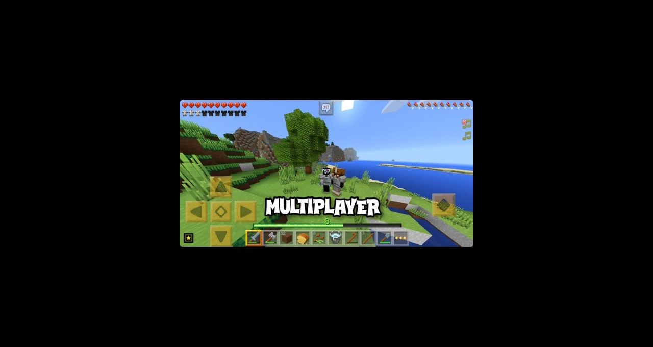 Two players standing on grassy Minecraft island with HUD and "MULTIPLAYER" text