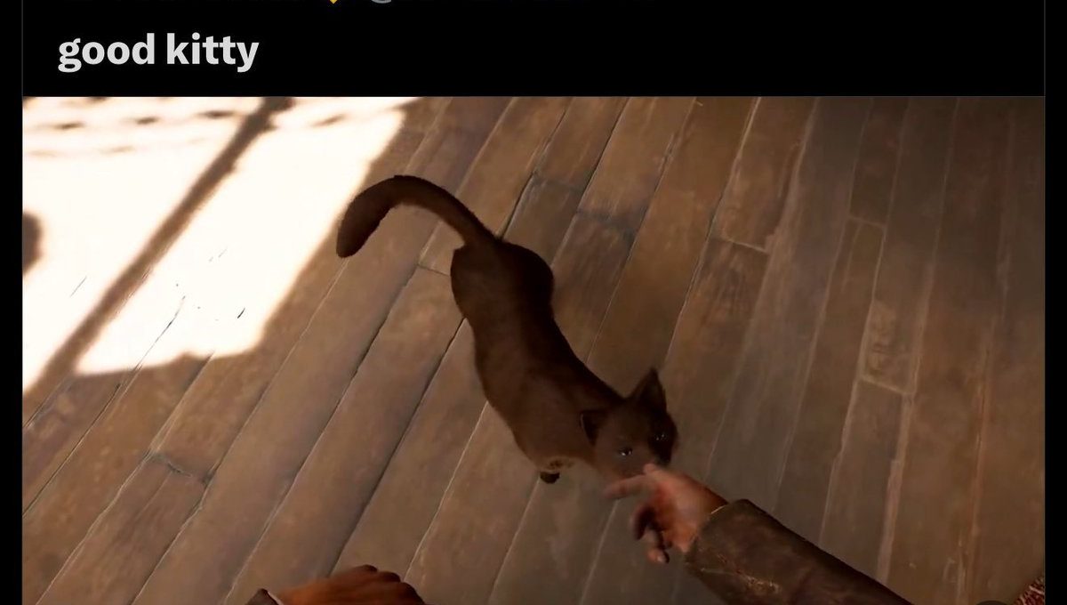 Player character petting a small brown cat on wooden floorboards in game screenshot